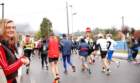 dsc_2391_small.jpg