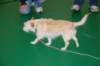 dsc_0603_small.jpg
